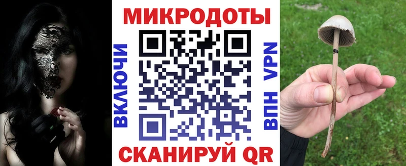 мега сайт  Балтийск  Псилоцибиновые грибы мицелий 