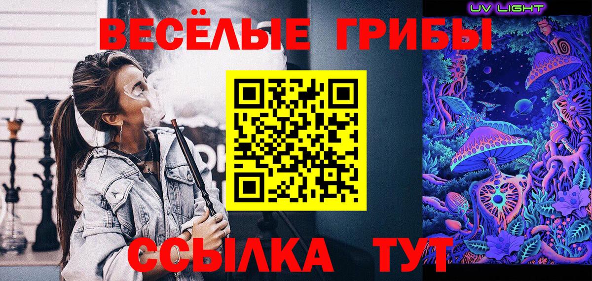 Галлюциногенные грибы мухоморы Балтийск