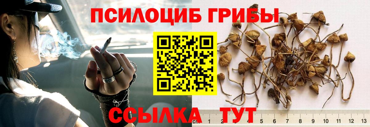 Галлюциногенные грибы Psilocybine cubensis  Галлюциногенные грибы Magic Shrooms  Вход с VPN  Балтийск 
